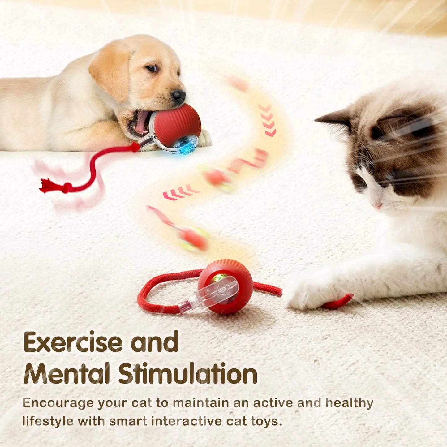 Rechargeable Interactive Cat Ball Toy – Smart Rolling Mouse with Tail