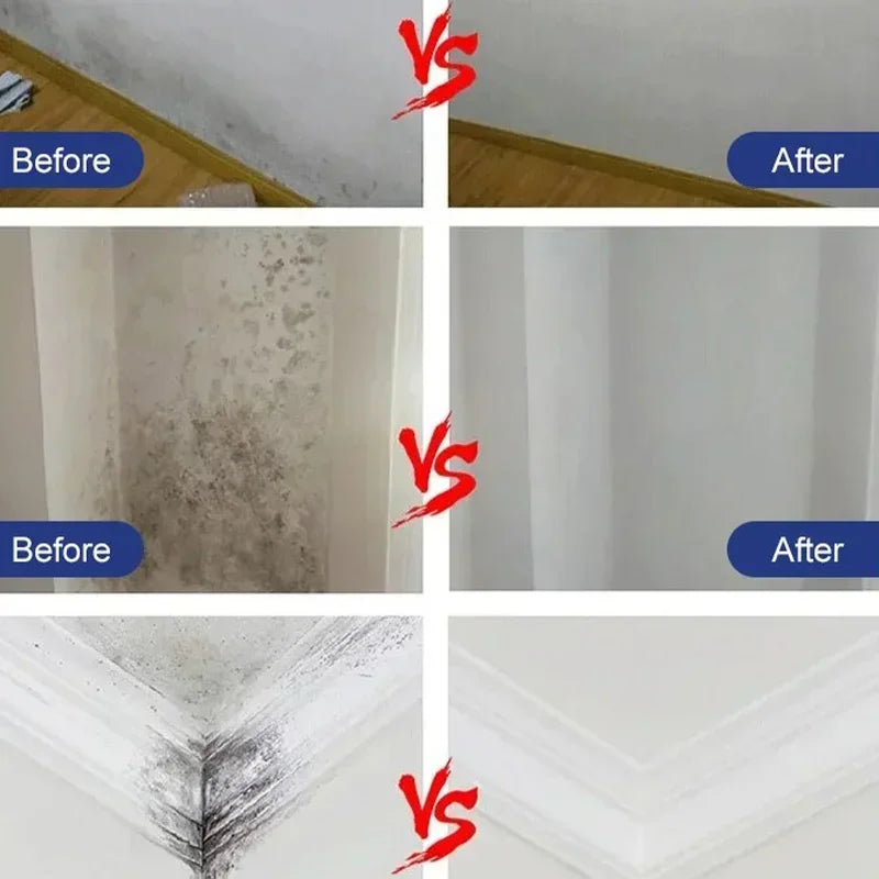 Wall Mildew Remover Spray – Powerful Mold and Stain Cleaner with Long-Lasting Protection