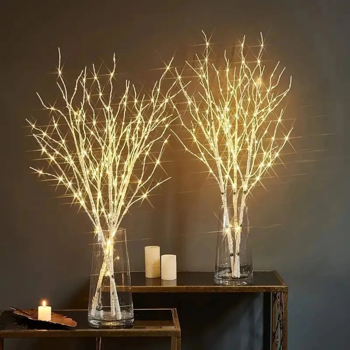 Birch Branch Light