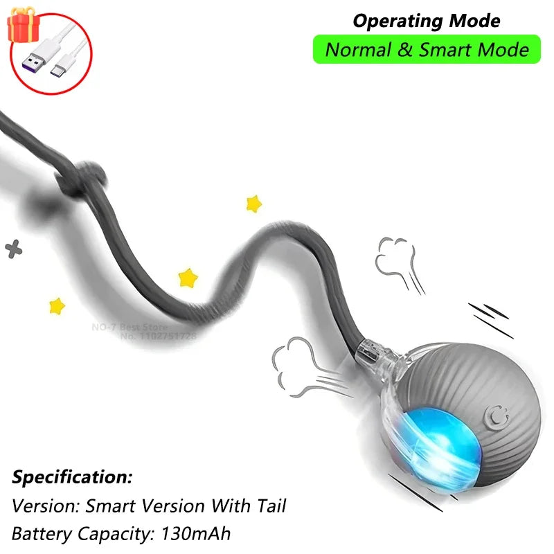 Rechargeable Interactive Cat Ball Toy – Smart Rolling Mouse with Tail