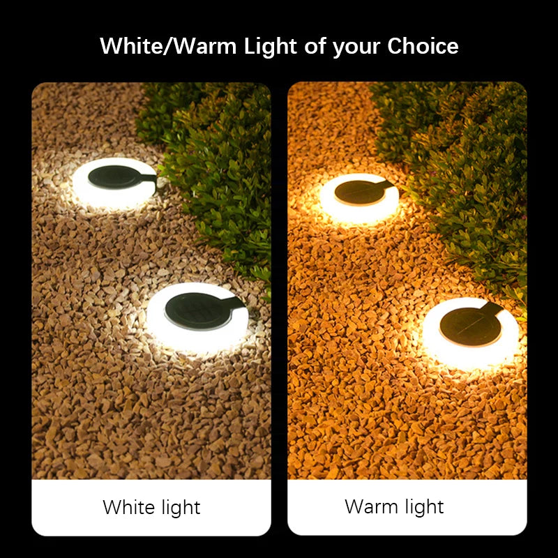 Warm White Solar LED Waterproof Outdoor Lights for Garden & Pathway Walls