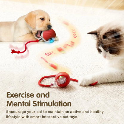 Rechargeable Interactive Cat Ball Toy – Smart Rolling Mouse with Tail