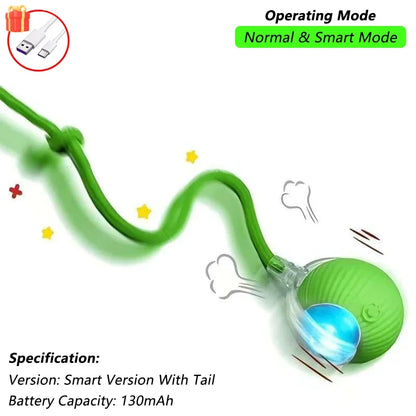Rechargeable Interactive Cat Ball Toy – Smart Rolling Mouse with Tail