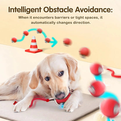Rechargeable Interactive Cat Ball Toy – Smart Rolling Mouse with Tail