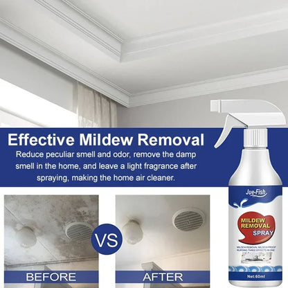 Wall Mildew Remover Spray – Powerful Mold and Stain Cleaner with Long-Lasting Protection