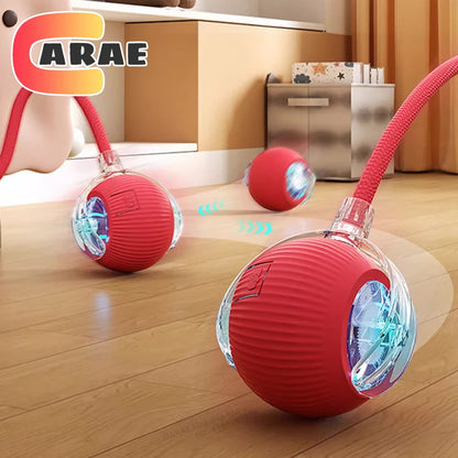 Rechargeable Interactive Cat Ball Toy – Smart Rolling Mouse with Tail