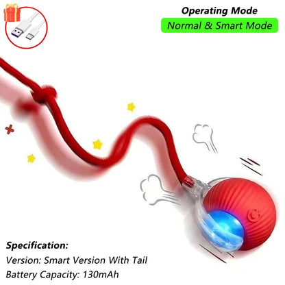 Rechargeable Interactive Cat Ball Toy – Smart Rolling Mouse with Tail